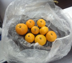 mikan